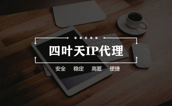 【邯郸代理IP】如何快速搭建代理IP？怎么检查代理的效果？